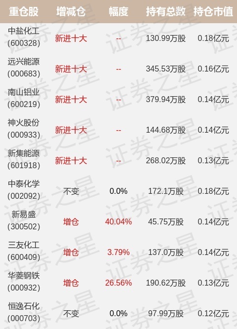 财通基金金梓才最新持仓,重仓中盐化工(财通多策略福鑫定期开放灵活