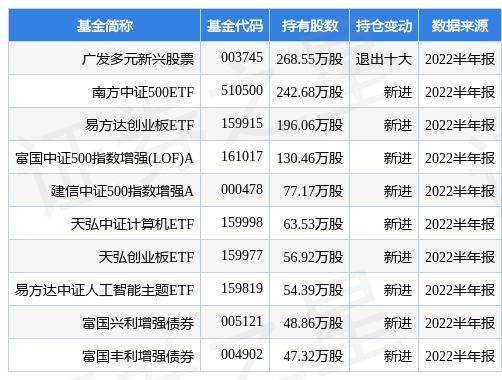 10月12日易华录涨598广发多元新兴股票基金重仓该股