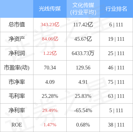 光线传媒(300251)5月4日主力资金净买入202亿元