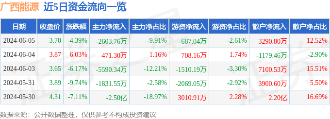 广西能源（600310）6月5日主力资金净卖出2603.76万元