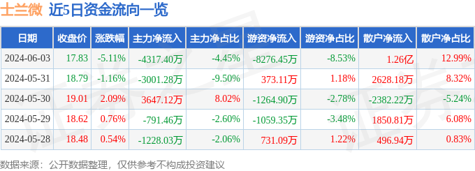 士兰微（600460）6月3日主力资金净卖出4317.40万元