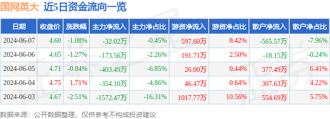 国网英大（600517）6月7日主力资金净卖出32.02万元