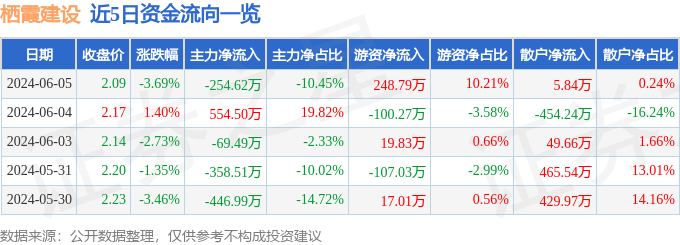 栖霞建设（600533）6月5日主力资金净卖出254.62万元