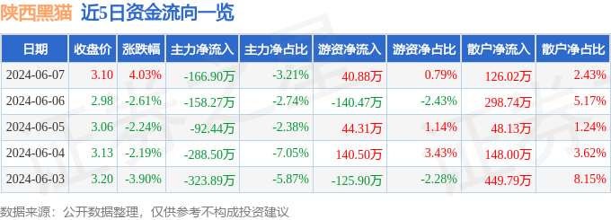 股票行情快报：陕西黑猫（601015）6月7日主力资金净卖出166.90万元