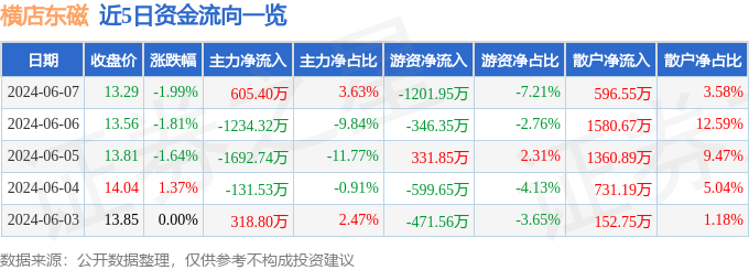 横店东磁（002056）6月7日主力资金净买入605.40万元