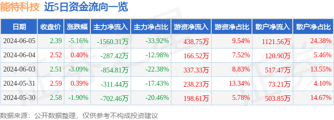 能特科技（002102）6月5日主力资金净卖出1560.31万元