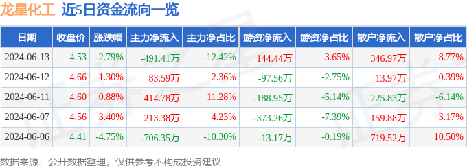 龙星化工（002442）6月13日主力资金净卖出491.41万元