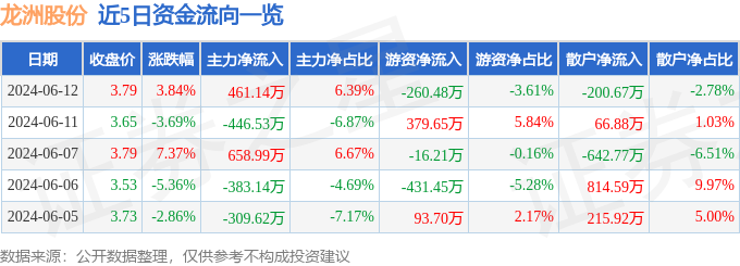 股票行情快报：龙洲股份（002682）6月12日主力资金净买入461.14万元