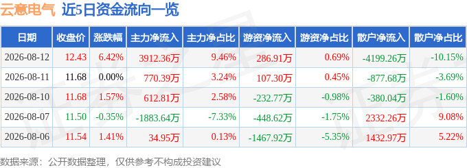 云意电气(300304)8月12日主力资金净买入391236万元(图1)