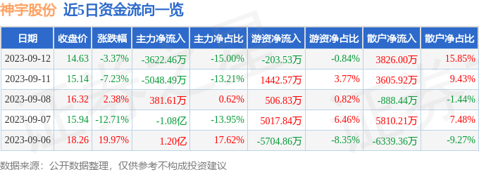 神宇股份3005639月12日主力资金净卖出362246万元