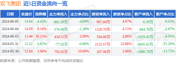 双飞集团（300817）6月5日主力资金净卖出861.20万元