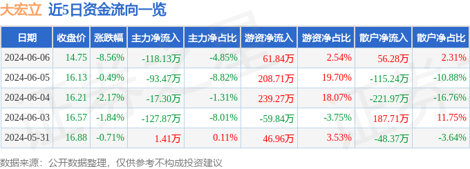 大宏立（300865）6月6日主力资金净卖出118.13万元