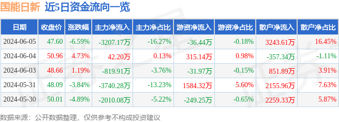 国能日新（301162）6月5日主力资金净卖出3207.17万元