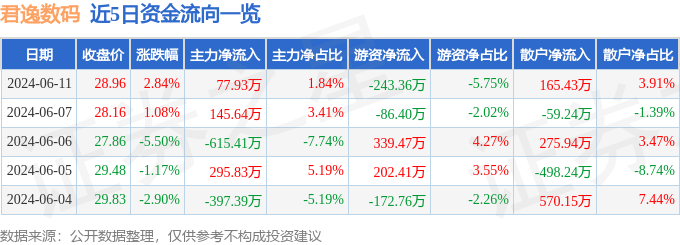 股票行情快报：君逸数码（301172）6月11日主力资金净买入77.93万元