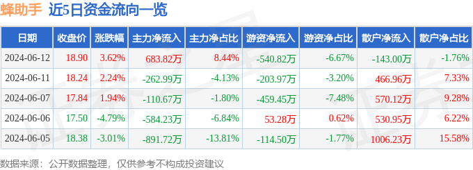 股票行情快报：蜂助手（301382）6月12日主力资金净买入683.82万元